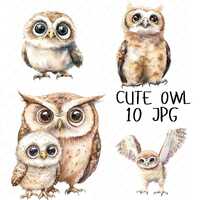 10 Watercolor Cute Owl Clipart, Adorable Baby Owl Illustrations, Whimsical Owl Clipart for Kids Pape