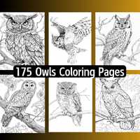 175 Owls Coloring Pages, Printable, Instant Download, Digital, Birds of Prey, Great Horned, Barn, Ba