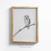 Rustic Owl Sketch | Detailed Woodland Line Art | Digital Pencil Drawing 1335