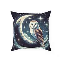 Barn Owl Moon Cushion