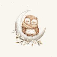 Owl with flowers PNG, Fabric PNG sublimation file, Transfer, Heat transfer design