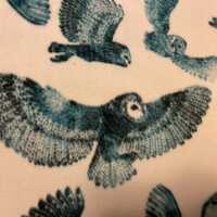 Owls Aqua Flying on White with Dark Aqua Fleece Blanket - This Blanket is Ready to Ship Now