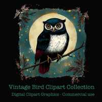 Vintage Bird Clipart Collection - Owl, Cardinal, Magpie, Barn Swallow - PNG Art for Sublimation Proj