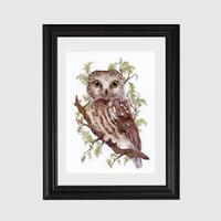 Northern saw-whet owl Print of Original Watercolor Painting/Bird Lover/Owls/Nature/House Decor