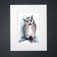 Owl print. White faced owl wall art. Cute birds. Birds art print of original watercolor painting. (P