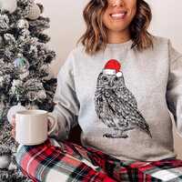 Owl Christmas Sweatshirt, Santa Owl Christmas Shirt, Animal Christmas Sweater, Owl Lover Christmas G