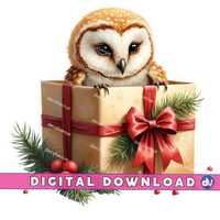 Owl in Christmas Present Box PNG Digital Download Clipart Printable Art Dtg Dtf Mugs T-Shirts Sublim