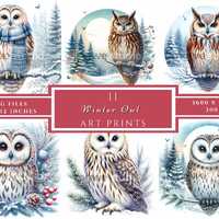 Winter Owl Clipart, Commercial use, Watercolor Clipart, Digital Download, Card Making,Clip Art, Digi