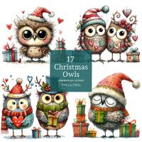 Christmas Owl Clipart, 17 High Quality PNGs/JPGs, Festive Owl Images, Cute Winter Bird, Whimsical Ho