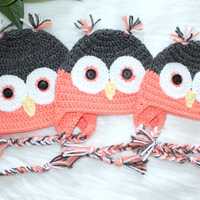 Crocheted Owl Hat: Baby Winter Beanie with Braids