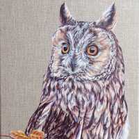 Long Eared Owl - Original painting by Alison Armstrong - 10 x 12 inches