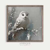 White Owl on Snowy Branch | Square Winter Art | Cozy Rustic Print | Farmhouse | Digital Download | 2
