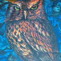 Plush Blue Velvet Autumn Owl Hallows Eve Midnight Woodland Halloween Pillow