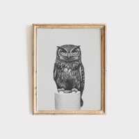 Owl Bathroom Wall Art Print, Funny Bathroom Decor, Black and White Owl Illustration, Modern Bathroom