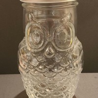 Vintage Clear Glass Owl Canister - Mid-Century "Wise Old Owl" Jar with Silver Lid