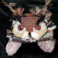 Great Horned Owl--Size Average