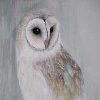 Barn Owl Painting - Owl Art- Original Art - Birds of Prey - Bird Gifts - Bird Art - Owl Picture - Ba