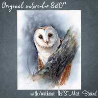 Barn Owl original artwork. 8x10 watercolor bird painting. Bird lovers gift.