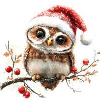 9 Christmas Owl Clipart Set 2, Christmas Card, Printable Watercolor clipart, High Quality JPGs, Digi