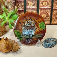 Tawny Owl Hand Painted on to Agate, Owl Gift, Owl Present