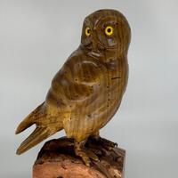 Barred owl woodcarving in butternut wood