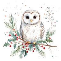 16 Winter Snow Owl Clipart, Winter Owl, Cute Owl, Barn Christmas Card, High Quality JPG, Digital Dow