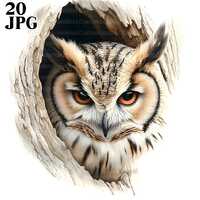 20 Elegant Owl Clipart, Majestic Owl Clipart Bundle, Wildlife Clipart, Woodland Clipart, Bird Clipar