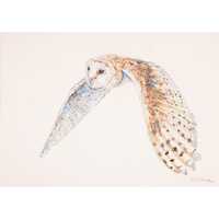 Barn Owl Painting - Owl - Owl Flying - Owl Painting - Owl Watercolor - Original Art - Wall Decor - N