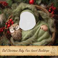Owl Christmas Baby Face Insert Backdrop, Newborn Add Face Overlay, Face Insert Background, Add Baby 