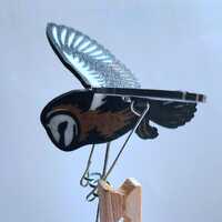 Little Owl Peg Automaton kit 2024 Design