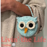 OWL Pocket Purse / Wristlet /Crossbody super cute adorable crochet accessory