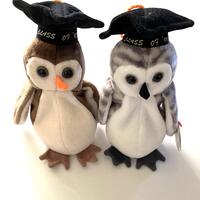 TY Beanie Baby - Choose from Graduation Owl Wise 1998 or Wiser 1999 MINT