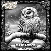 Winter Owl 3D Illusion PNG, Forest Animal Laser Engraving File, Cute Christmas Holiday Coaster Engra