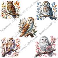 15 Owls - PNG
