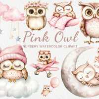 Pink Owl Nursery Watercolor Clipart - 24 PNG Cute Fairy Bird Illustration, Rose Owl, Baby Shower Dec