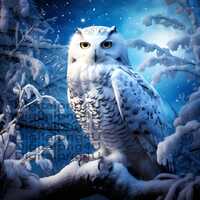 owl beautiful white owl winter PNG sublimation DIGITAL DESIGN download wreath sign wind spinner cutt