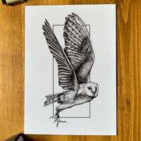 Pen & Ink Barn Owl Unframed Art Print, A5/A4, Black and White Owl Drawing, Wildlife Ink Illustra
