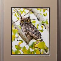 Great Horned Owl – 8"x10" Double-Matted Fine Art Print, Wildlife Wall Art, Nature De