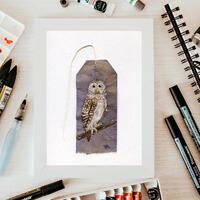 Barred Owl Watercolor Painting on Tea Bag - Original Nature Art