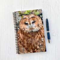 A5 Notebook, Tawny Owl, Journal, Fine Art Photography by SarahFrippMorris