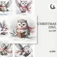 Christmas Owl Watercolor Ephemera Junk Journal Paper Crafting Clipart Holiday Card Element Winter Co