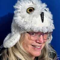 Snowy Owl Hat B--Size AVG