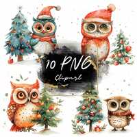 Watercolor Christmas Owl Clipart,cute owl with Christmas tree,holiday animal illustrations, 10 PNG g