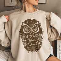 Owl Sweatshirt I Dont Give A Hoot Graphic Sweatshirt Cozy Owl Lover Gift Casual Wear Unisex Funny An