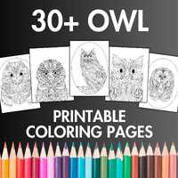 30+ Owl Coloring Pages for Adults & Kids, Zen Mandala Inspired Owl Coloring Sheets, Printable Bi