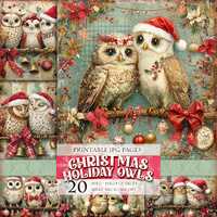 Christmas Holiday Owls, Noel Animals, Printable 20 HQ JPG images Scrapbook Junk Journal Postcard Dec