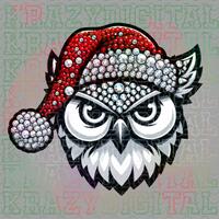 Festive Owl Mascot Rhinestone PNG, Santa Hat Design for Holiday Cheer, Dazzling Santa Hat Digital Fi