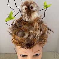 Fluffy Brown & White Wise Owl