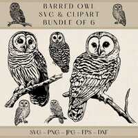 Barred Owl Clipart: Rustic Wildlife SVG Bundle (Digital Download)