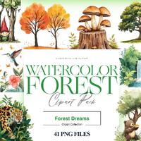 Watercolor Forest Clipart, Forest Animal, Owl PNG, Bamboo Forest, Watercolor Tree Clipart, Forest Ba